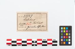 Foto von Bronzegürtelhaken (NHMW-PRAE-025537)